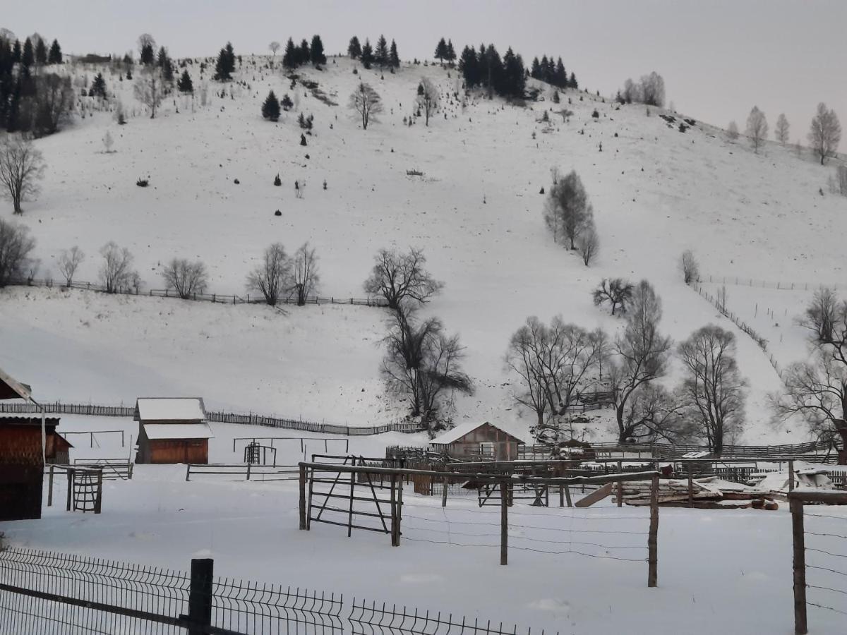 Casa Dumitru si Elena Ciocanesti Bucovina Exterior foto