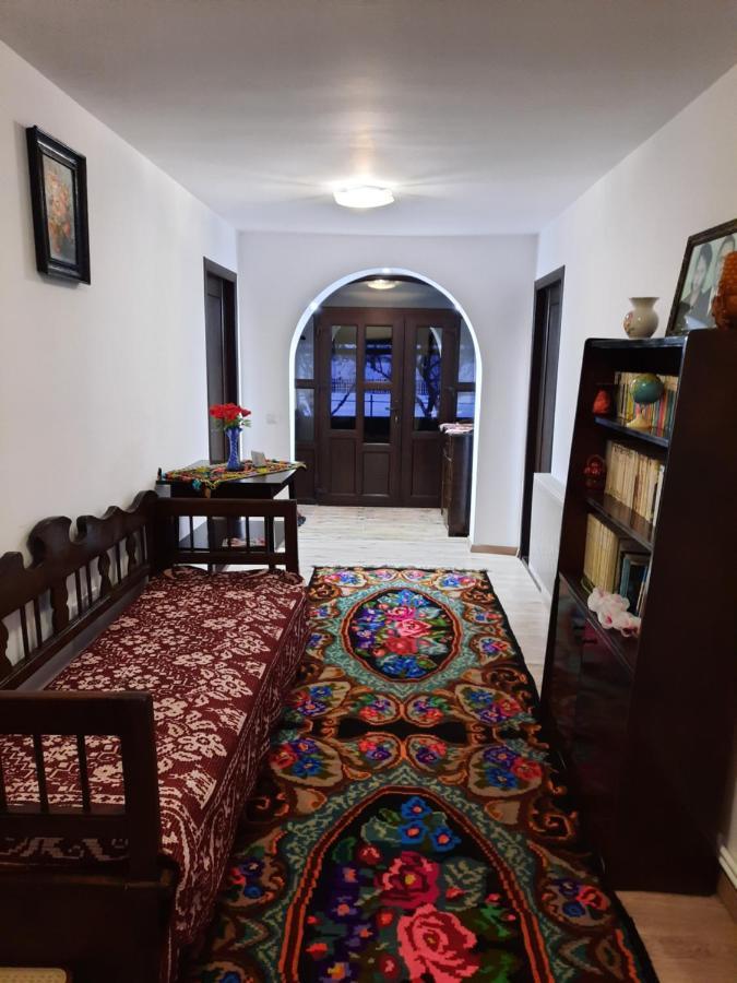 Casa Dumitru si Elena Ciocanesti Bucovina Exterior foto