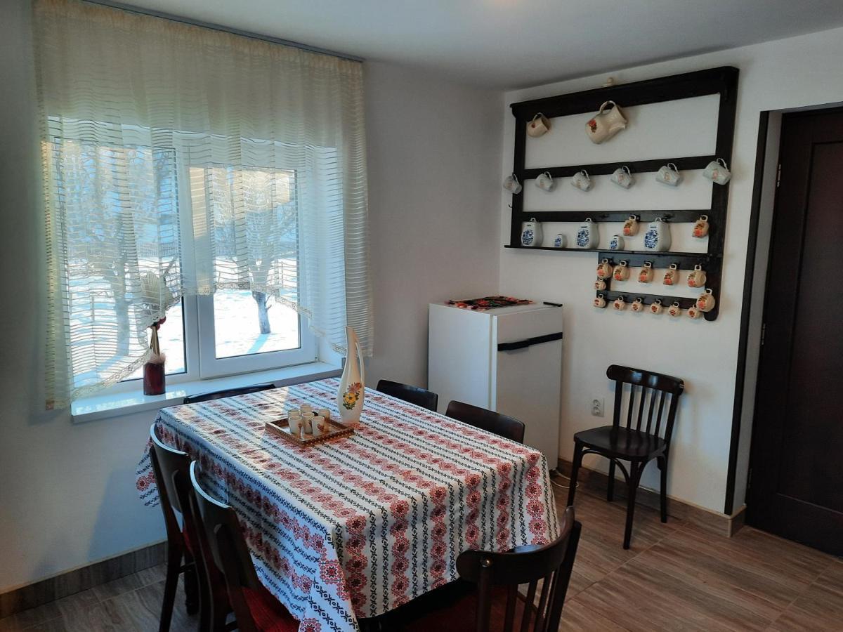 Casa Dumitru si Elena Ciocanesti Bucovina Exterior foto