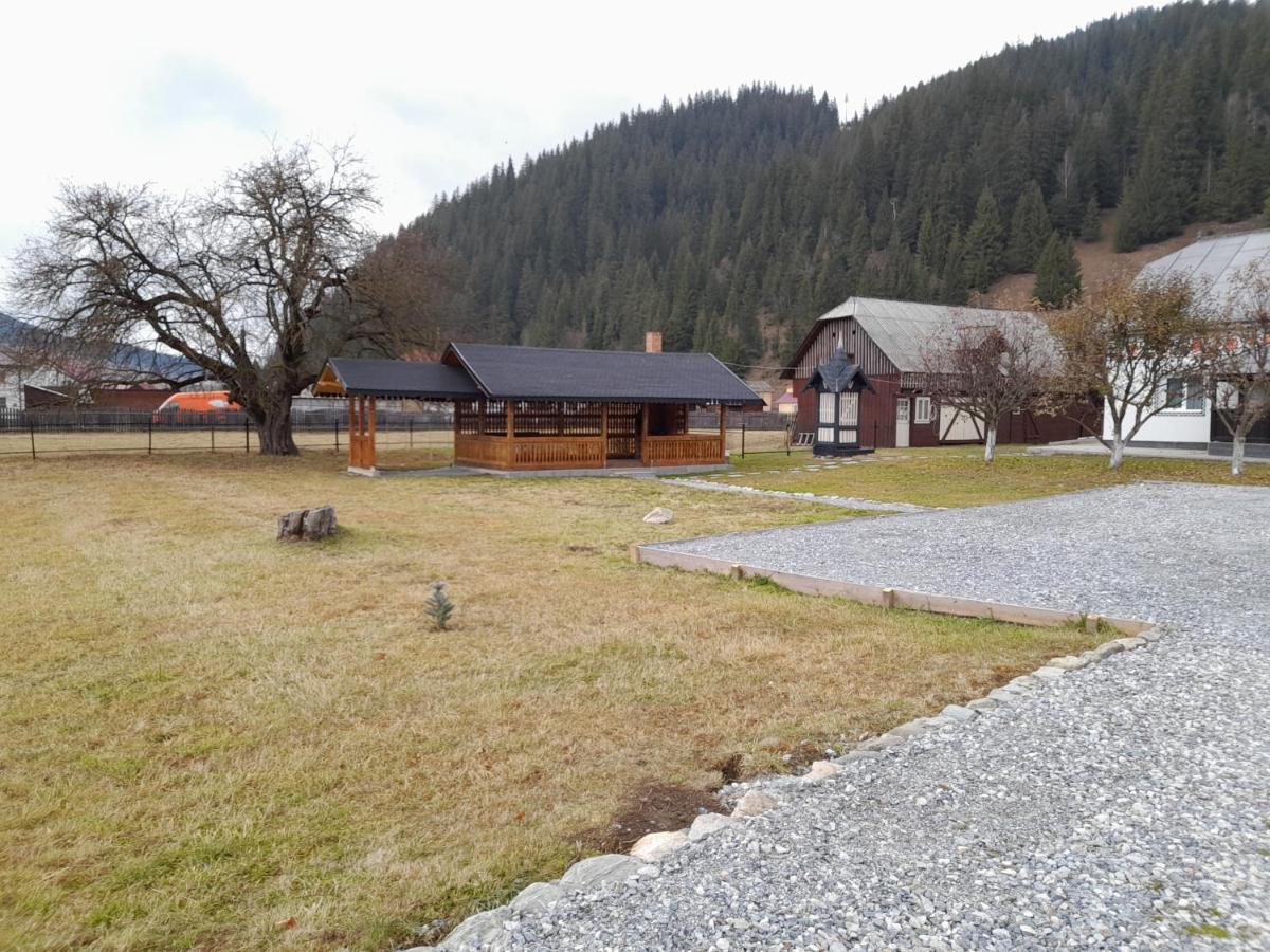 Casa Dumitru si Elena Ciocanesti Bucovina Exterior foto