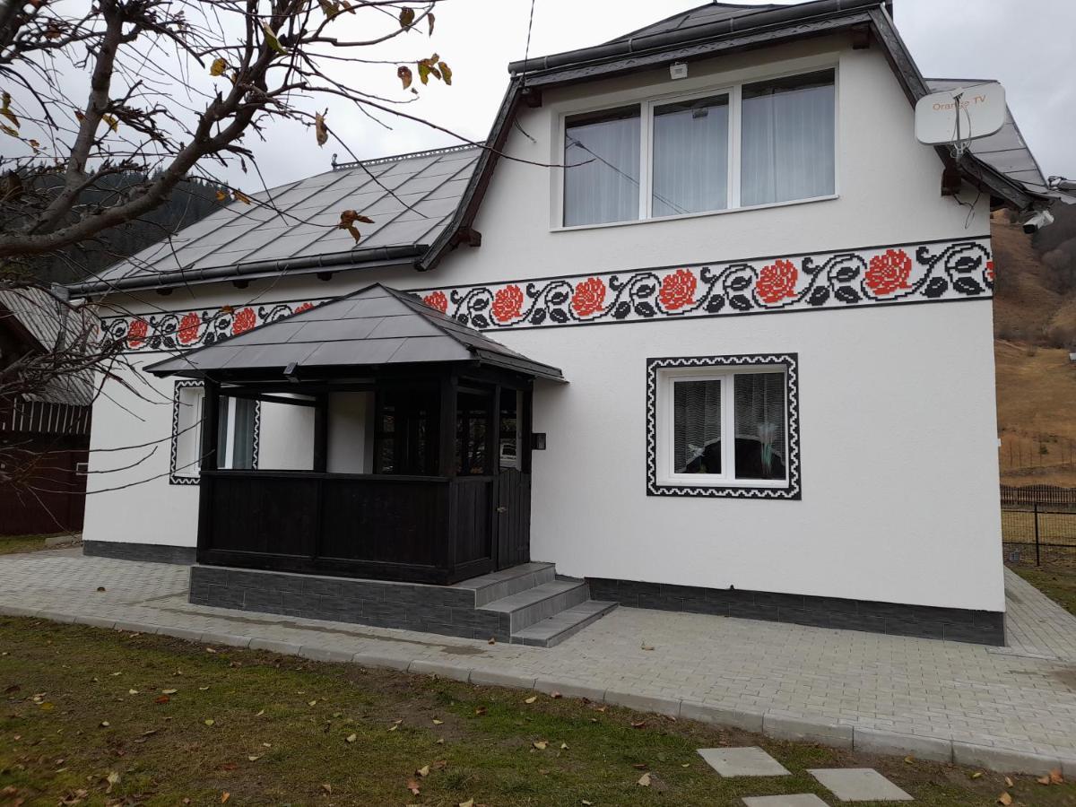 Casa Dumitru si Elena Ciocanesti Bucovina Exterior foto