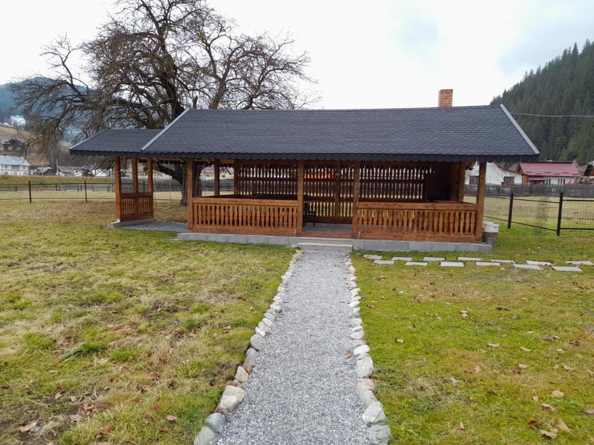 Casa Dumitru si Elena Ciocanesti Bucovina Exterior foto
