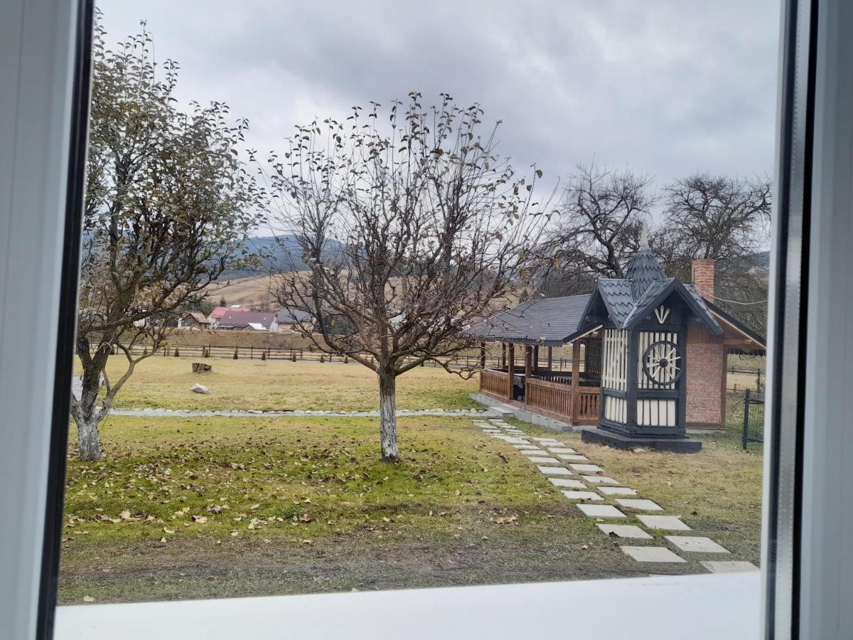 Casa Dumitru si Elena Ciocanesti Bucovina Exterior foto