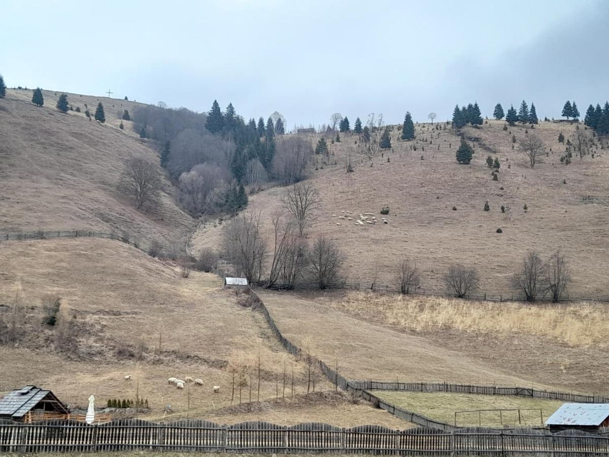 Casa Dumitru si Elena Ciocanesti Bucovina Exterior foto