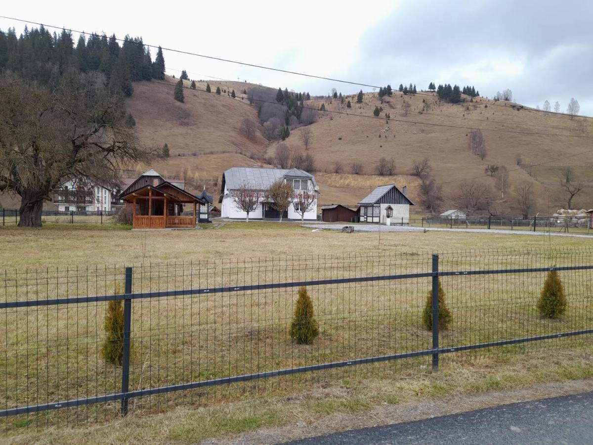 Casa Dumitru si Elena Ciocanesti Bucovina Exterior foto