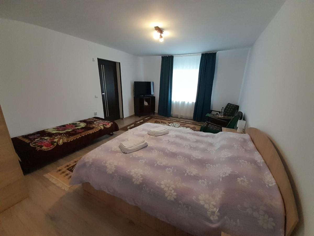 Casa Dumitru si Elena Ciocanesti Bucovina Exterior foto
