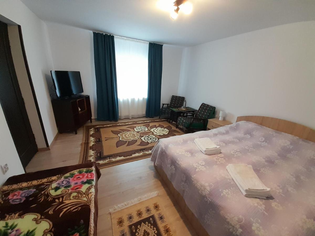 Casa Dumitru si Elena Ciocanesti Bucovina Exterior foto