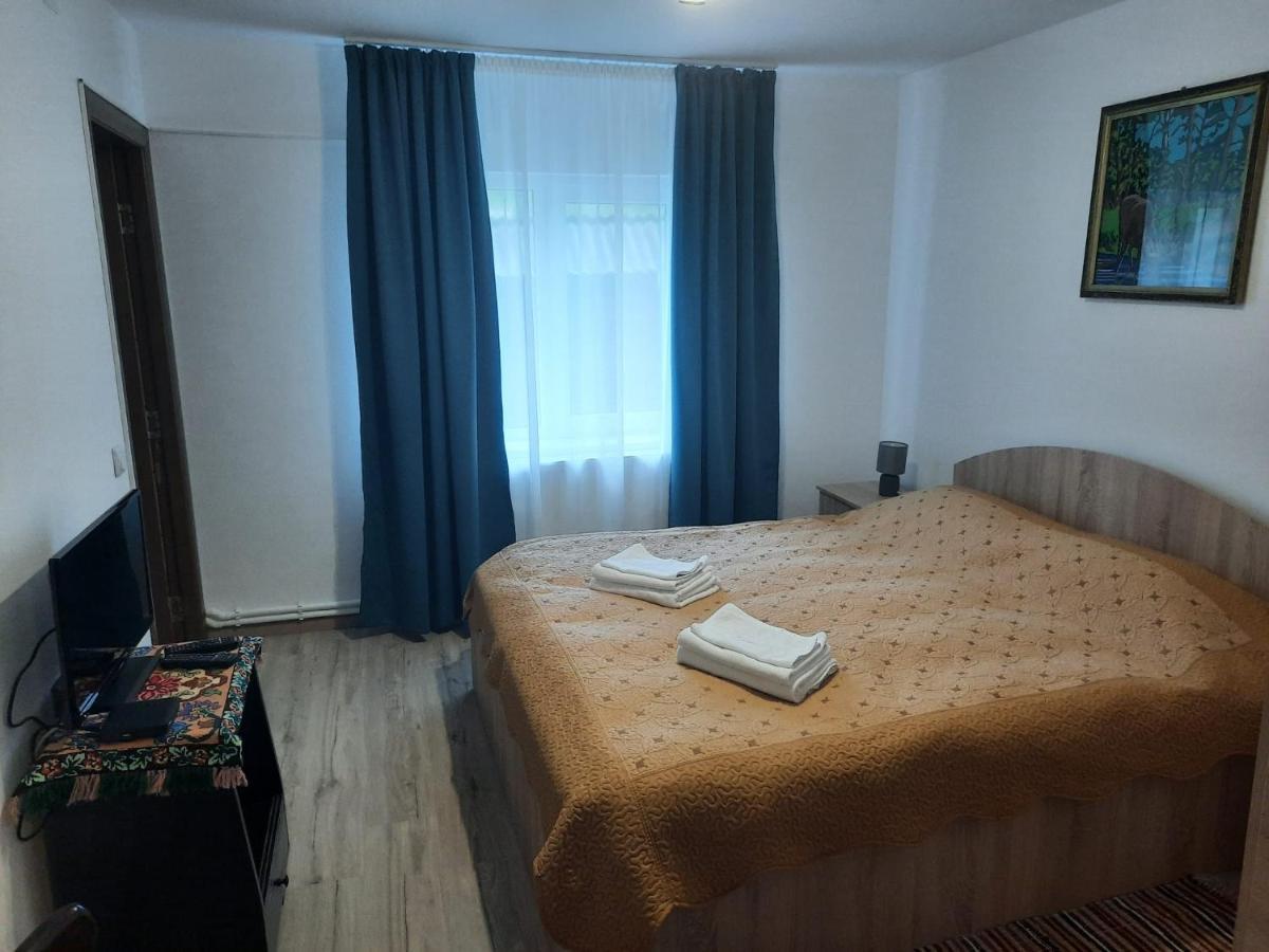 Casa Dumitru si Elena Ciocanesti Bucovina Exterior foto