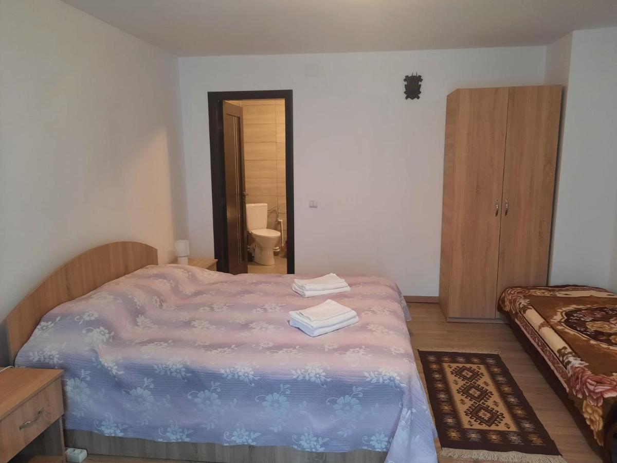 Casa Dumitru si Elena Ciocanesti Bucovina Exterior foto