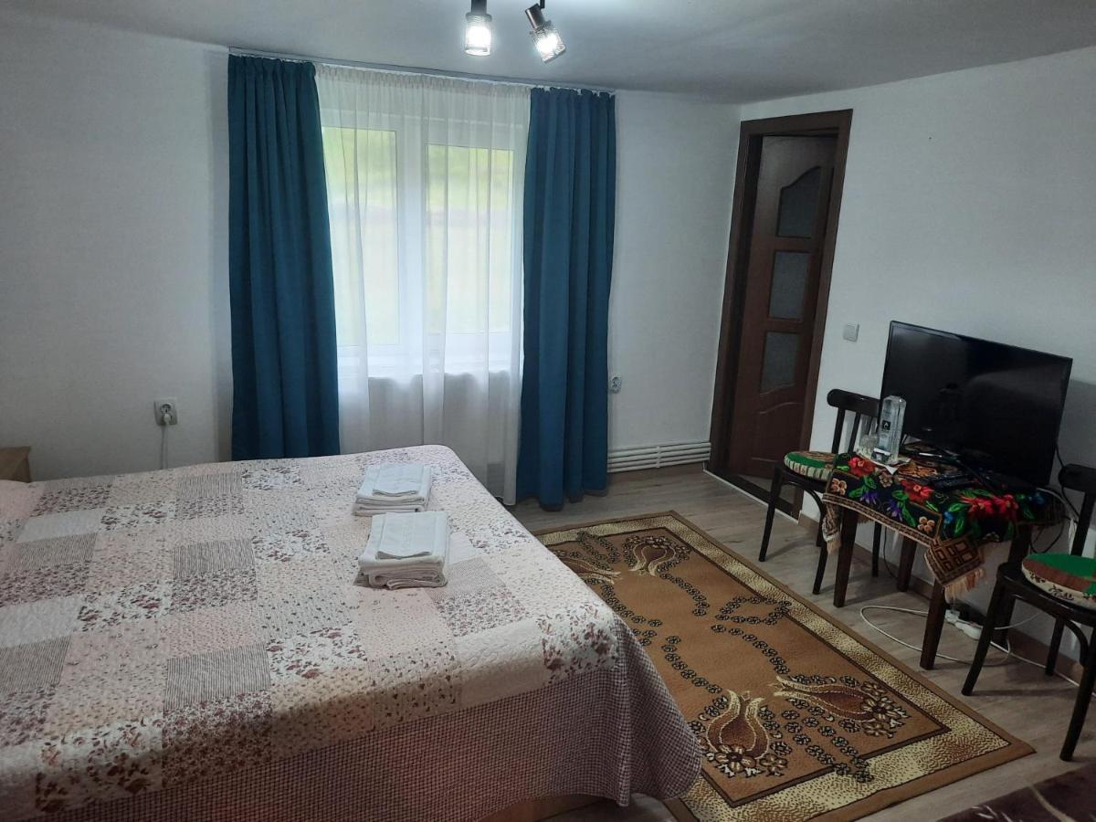 Casa Dumitru si Elena Ciocanesti Bucovina Exterior foto