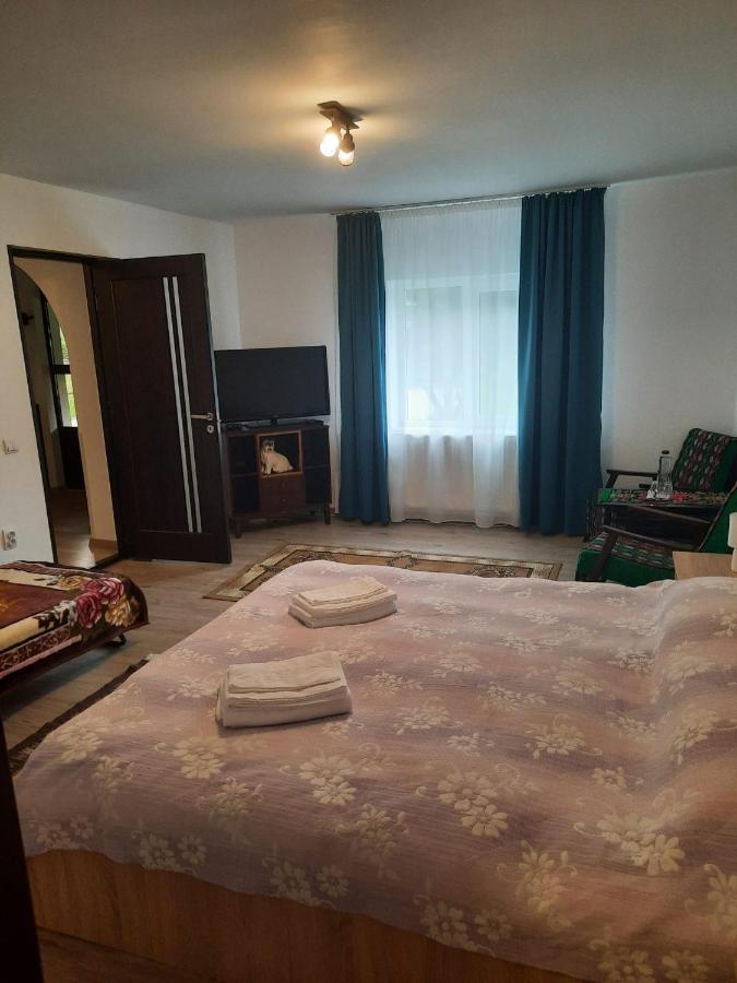Casa Dumitru si Elena Ciocanesti Bucovina Exterior foto