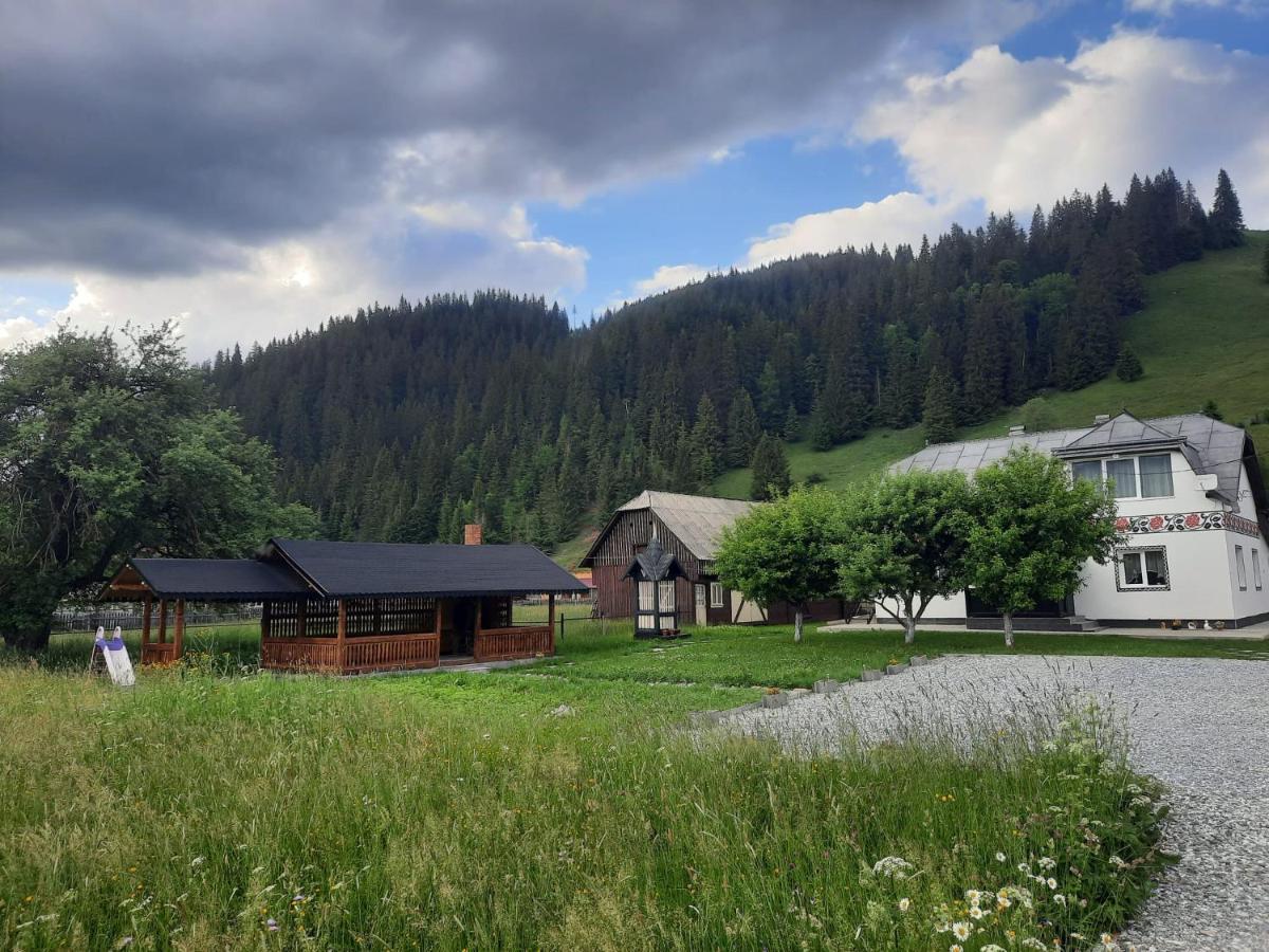 Casa Dumitru si Elena Ciocanesti Bucovina Exterior foto