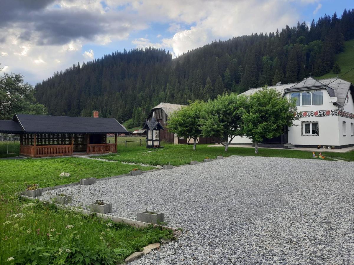Casa Dumitru si Elena Ciocanesti Bucovina Exterior foto