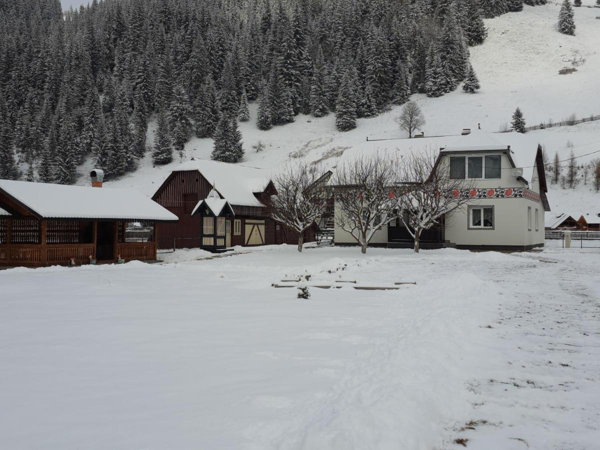 Casa Dumitru si Elena Ciocanesti Bucovina Exterior foto